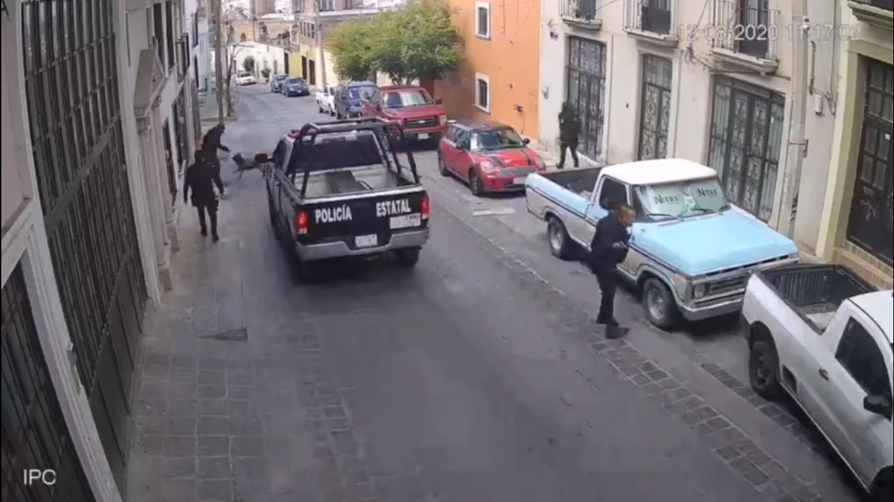 (Video) Apuñalan a perro policía mientras detenía a un hombre