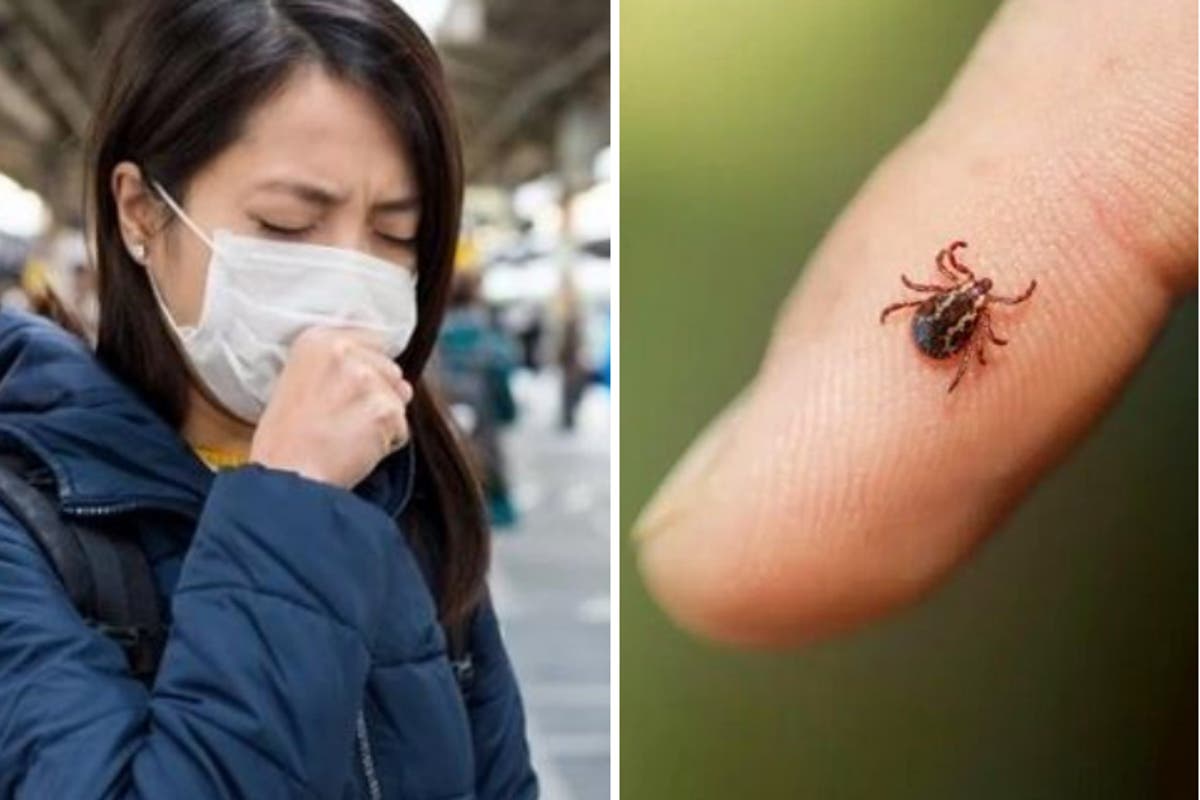 China ha presentado varias muertes por picadura de garrapatas