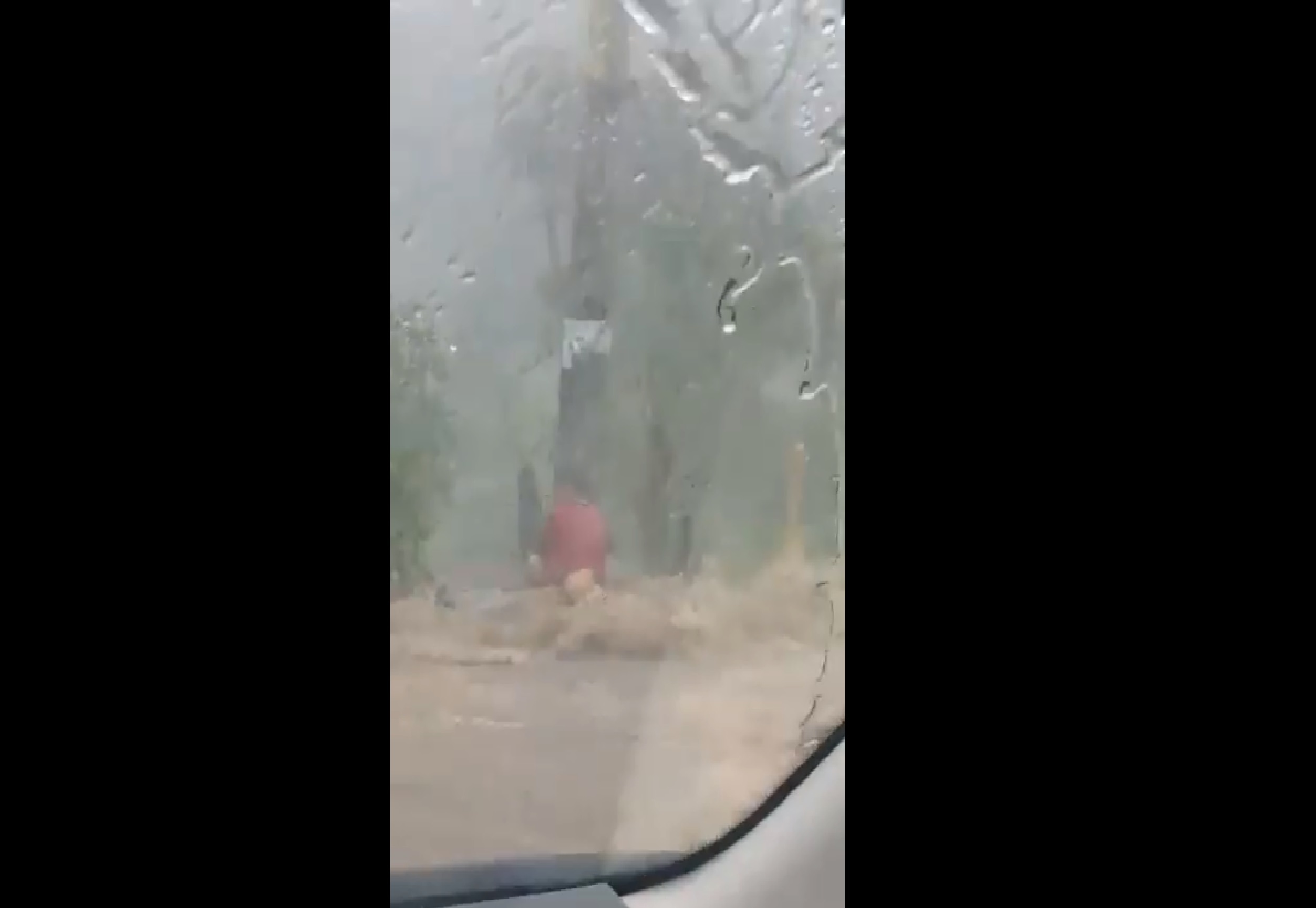 (Vídeo) Hombre en Veracruz fue arrastrado por corriente debido a fuertes lluvias
