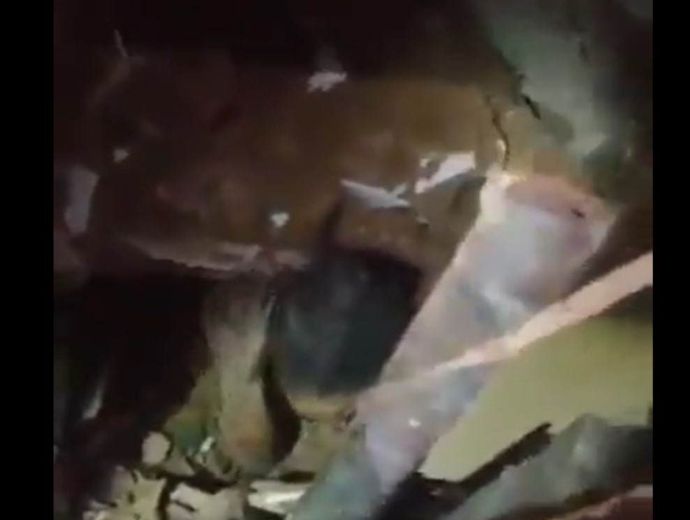 (Vídeo) Encuentran a niña viva en escombros de Beirut