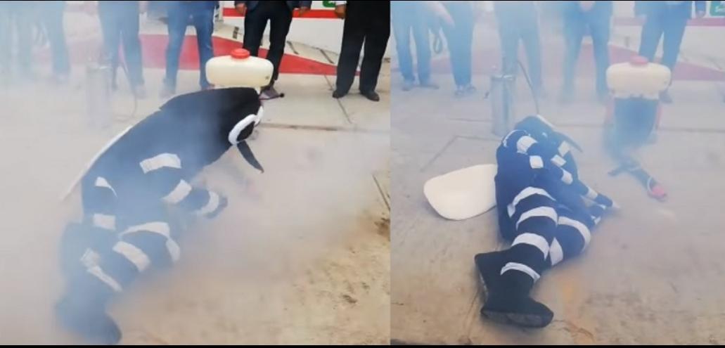 video-con-botarga-de-mosquito-lanzan-campana-contra-el-dengue5