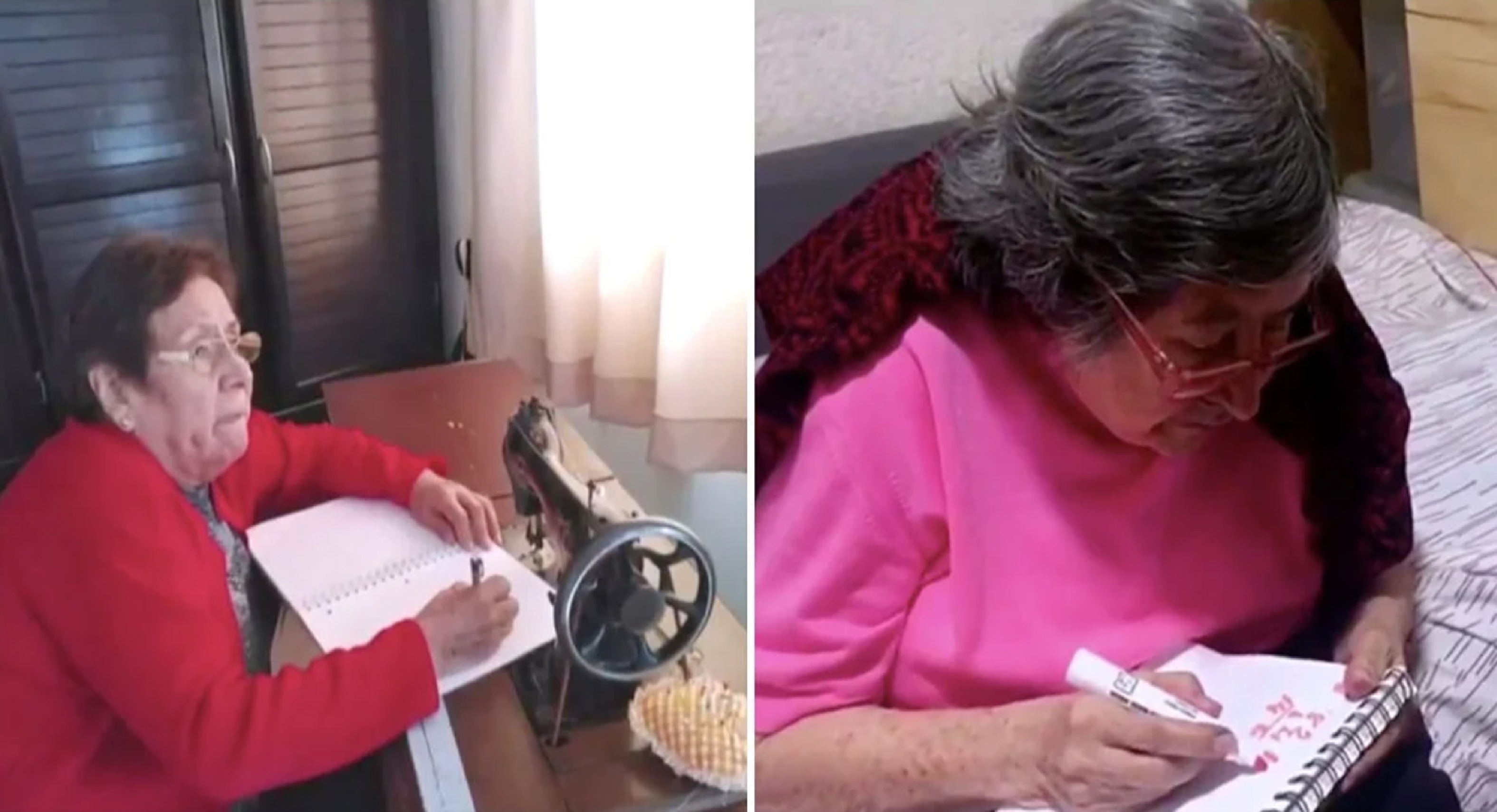 Abuelita mexiquense toma clases desde casa