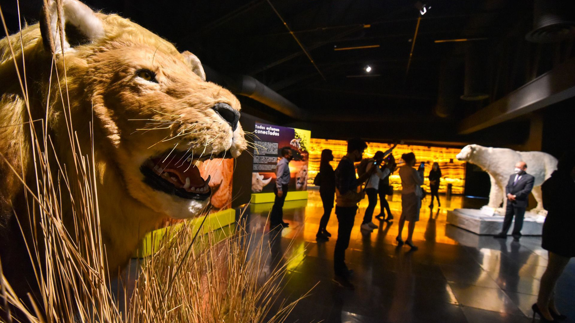 Centro-Cultural-Toluca-abre-sus-puertas-al-publico