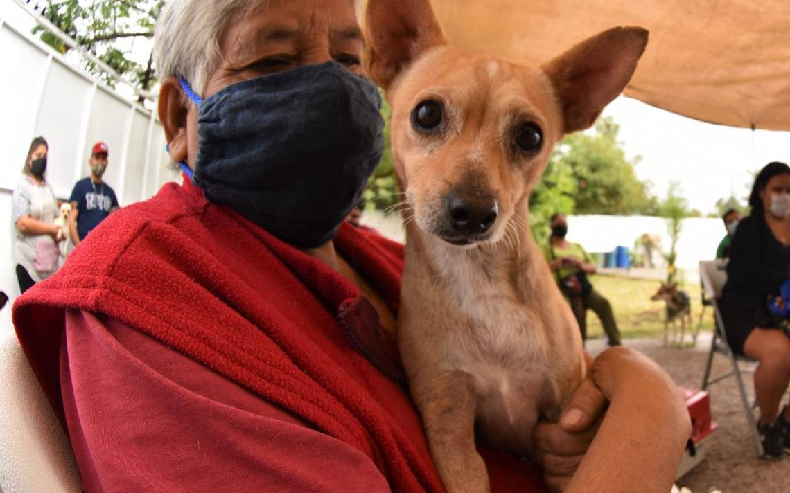 Las personas deben de tener una cultura por cuidar a sus mascotas