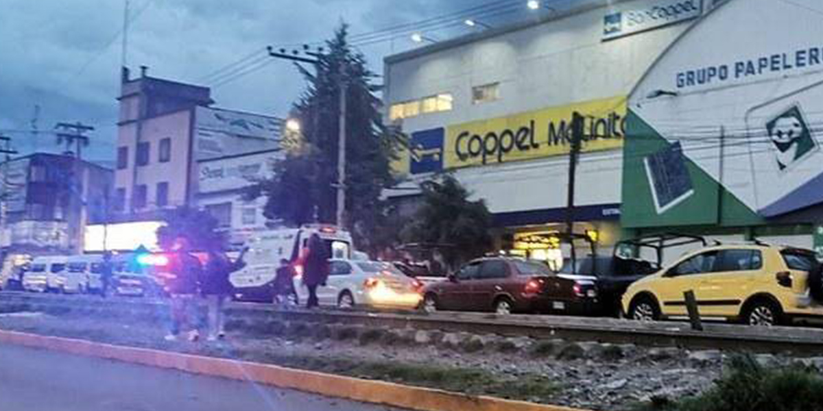Intentó robar en una tienda de electrodomésticos y terminó abatido por un guardia de seguridad