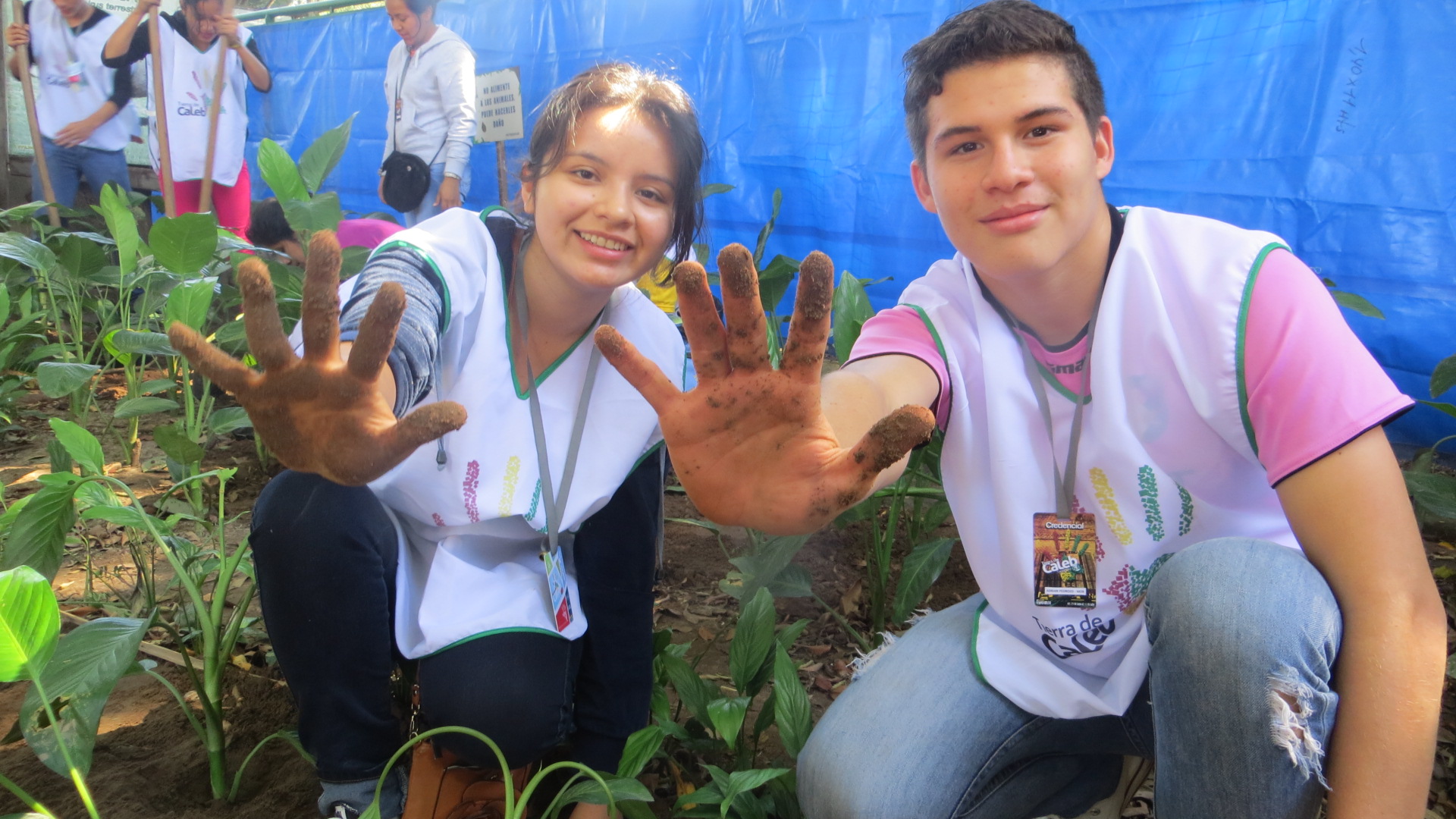 La Coordinación de Becas Benito Juárez abrió una convocatoria de Beca "Promotores de Clubes por la Paz" ofrece un apoyo de 10 mil pesos.