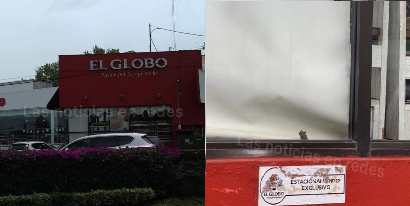 Captan rata en pastelería "El Globo" y la bautizan como "ratatouille poblano"