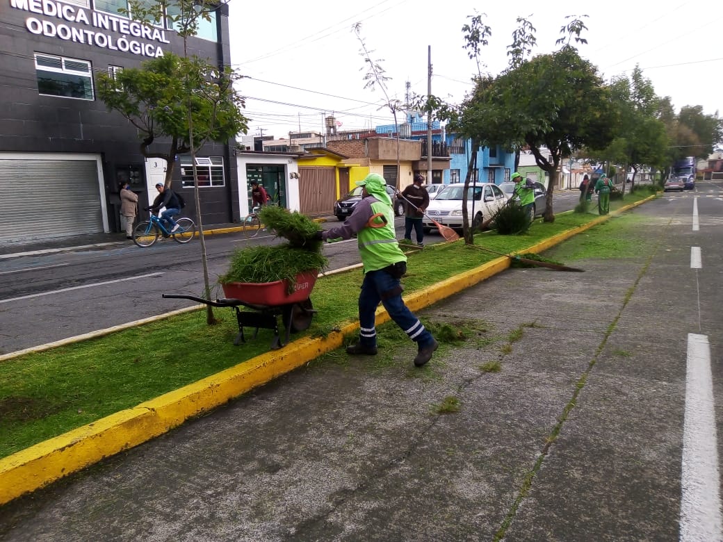 dan-mantenimiento-a-las-areas-verdes-y-parques-en-toluca
