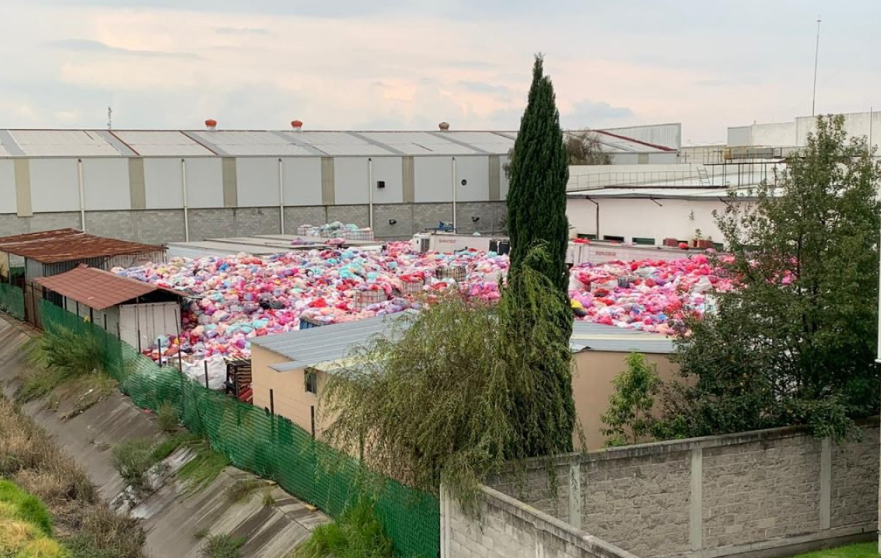 saturación de desechos biológicos en parque toluca 2000