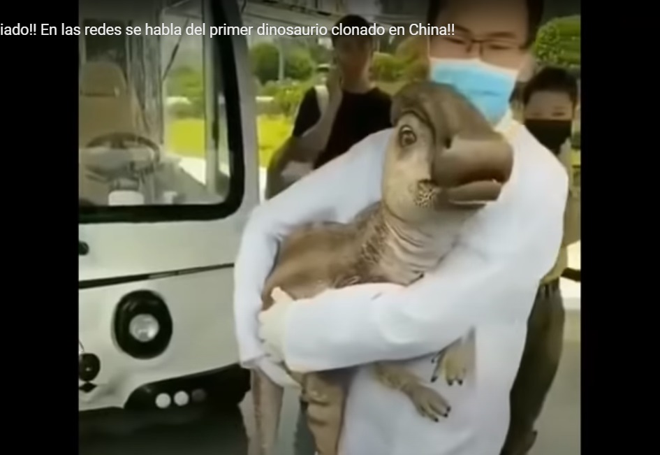 (Video) ¿Dinosaurio clonado o dinosaurio robot?