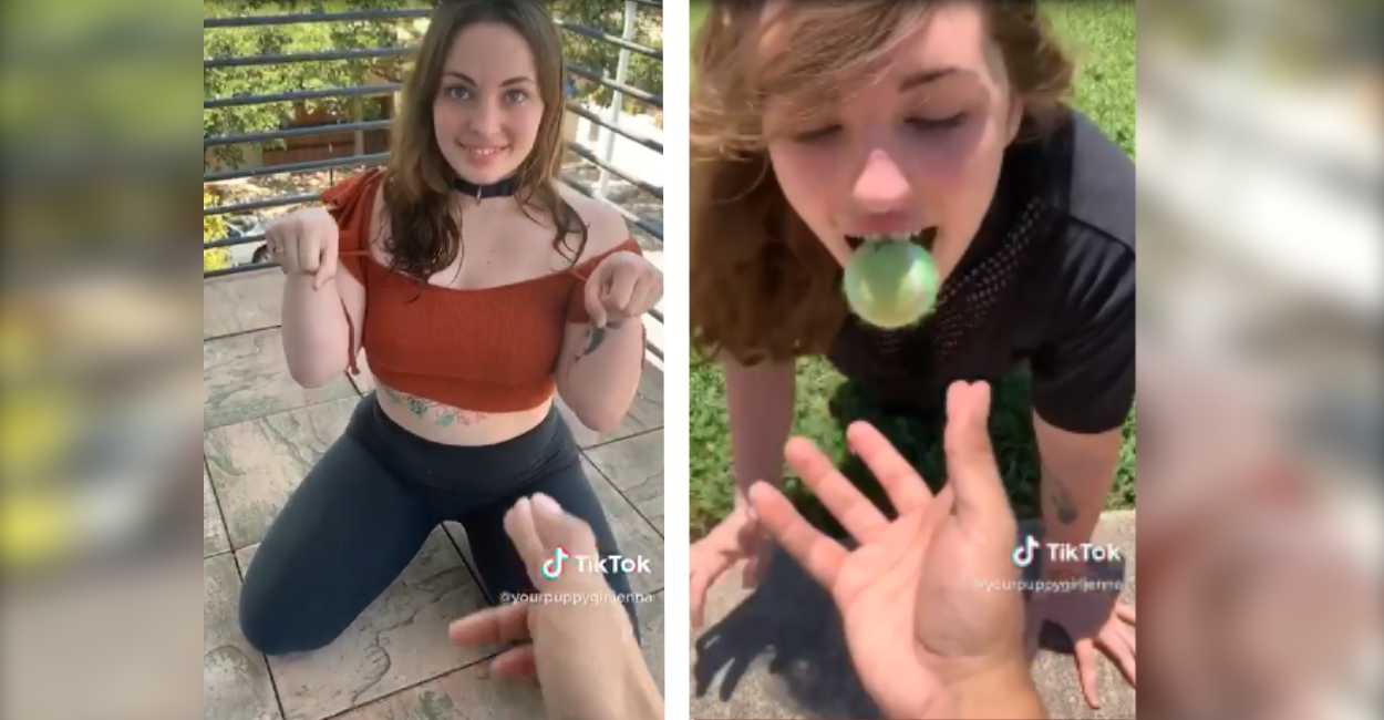 por-solo-actuar-como-perro-gana-10-mil-dolares-mensuales-en-tik-tok