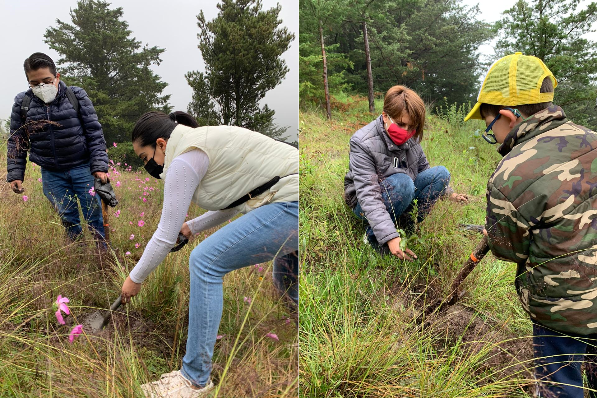 Plantan 2000 árboles en Parque Sierra Morelos por homenaje
