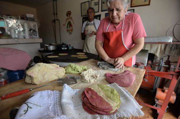 tortillas-tricolor-en-toluca-una-tradicion-que-empezo-hace-19-anos