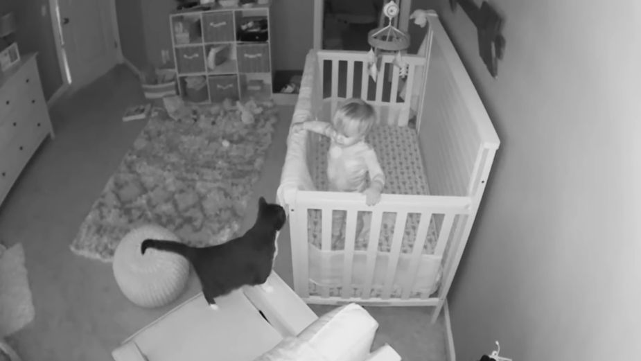 Captan el espeluznante momento en que un gato habla con un niño || VIDEO