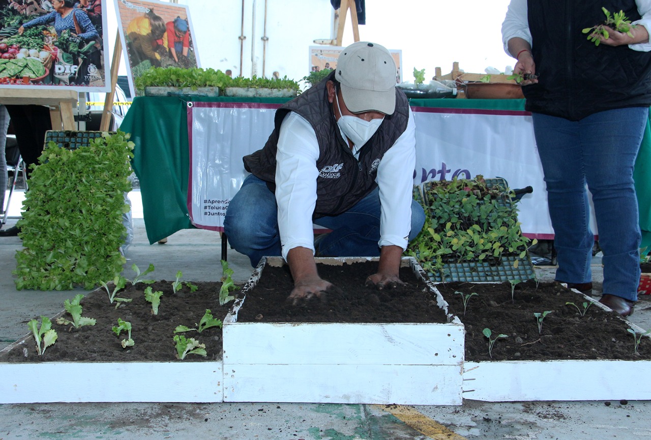 Gobierno de Toluca entrega huertos familiares en San Pablo Autopan
