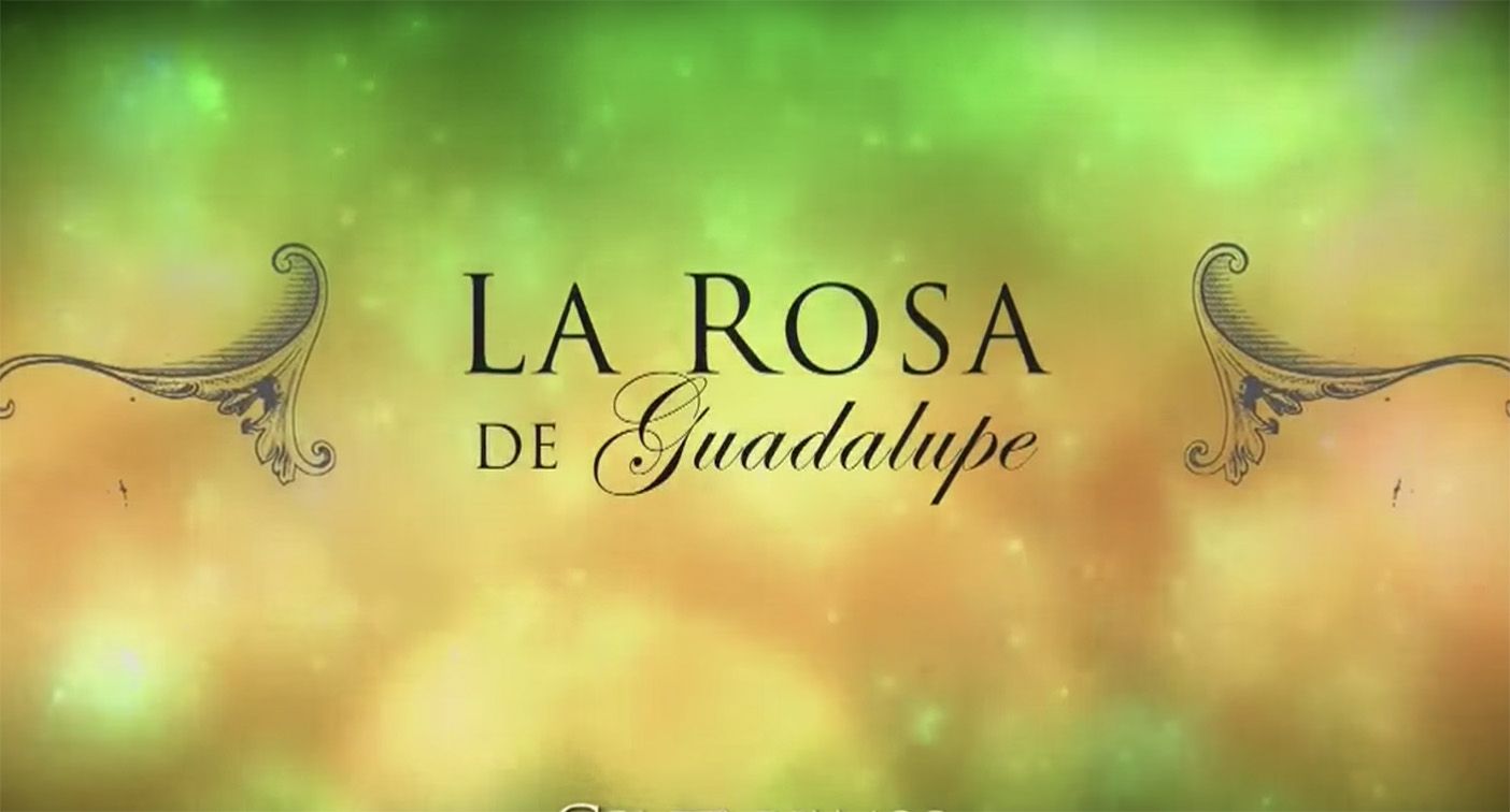 la-rosa-de-guadalupe-estos-son-los-requisitos-para-participar