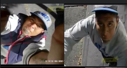 toluca-captan-a-ladrones-robando-camaras-de-video-en-casas1