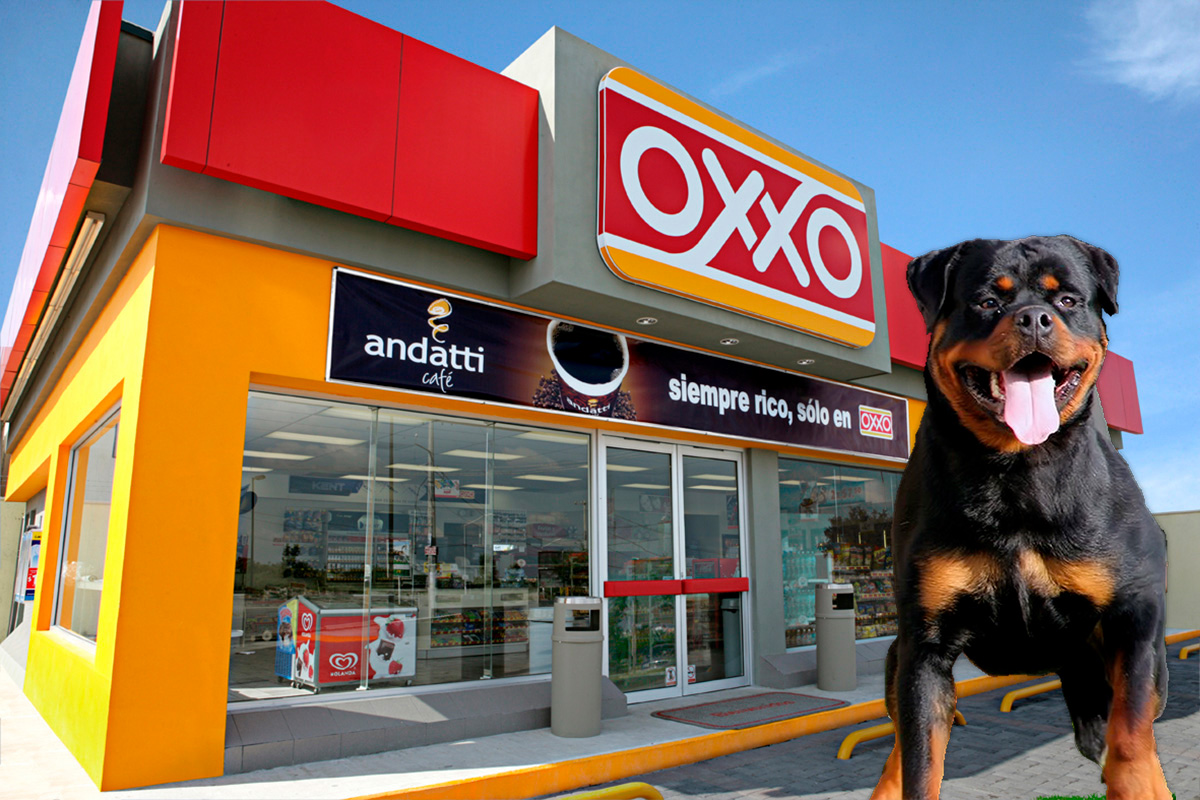 viral-perrito-secuestra-oxxo-tuvieron-que-llamar-a-proteccion-civil2