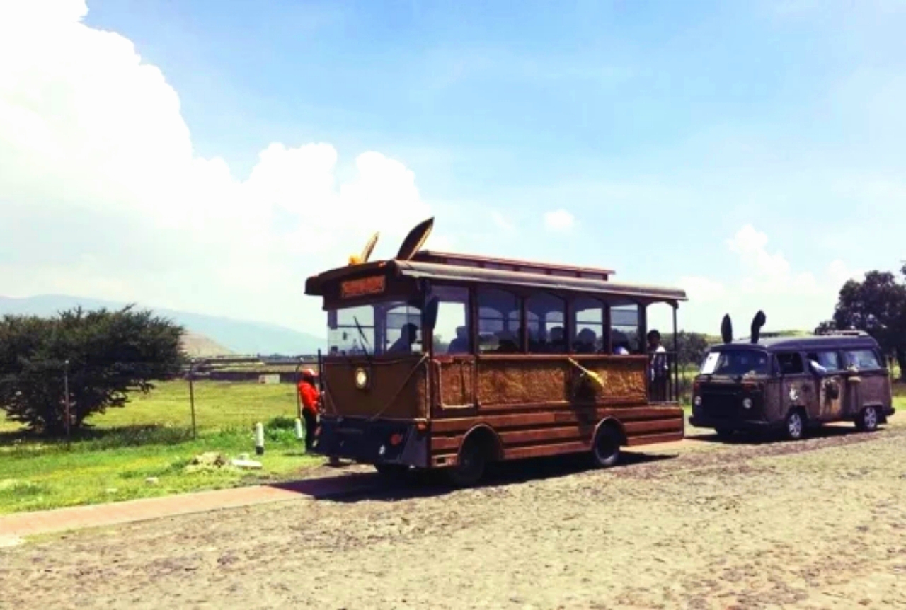 Conoce-el-proyecto-burrolandia