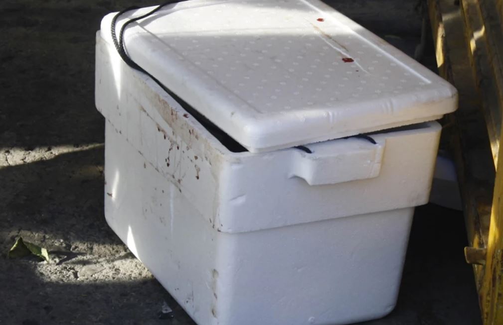 policia-encuentra-hielera-con-restos-humanos-en-el-Edomex