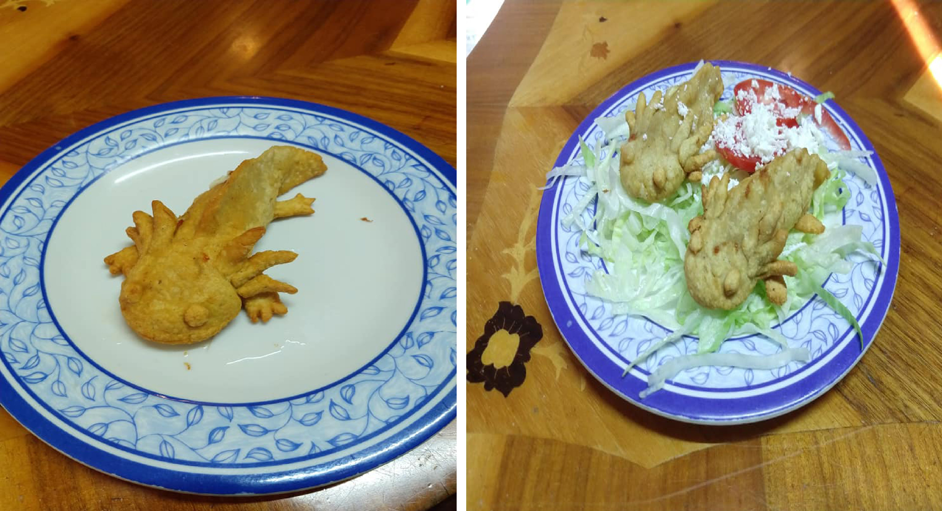 Axoloquesadilla, la nueva sensación garnachera mexicana4