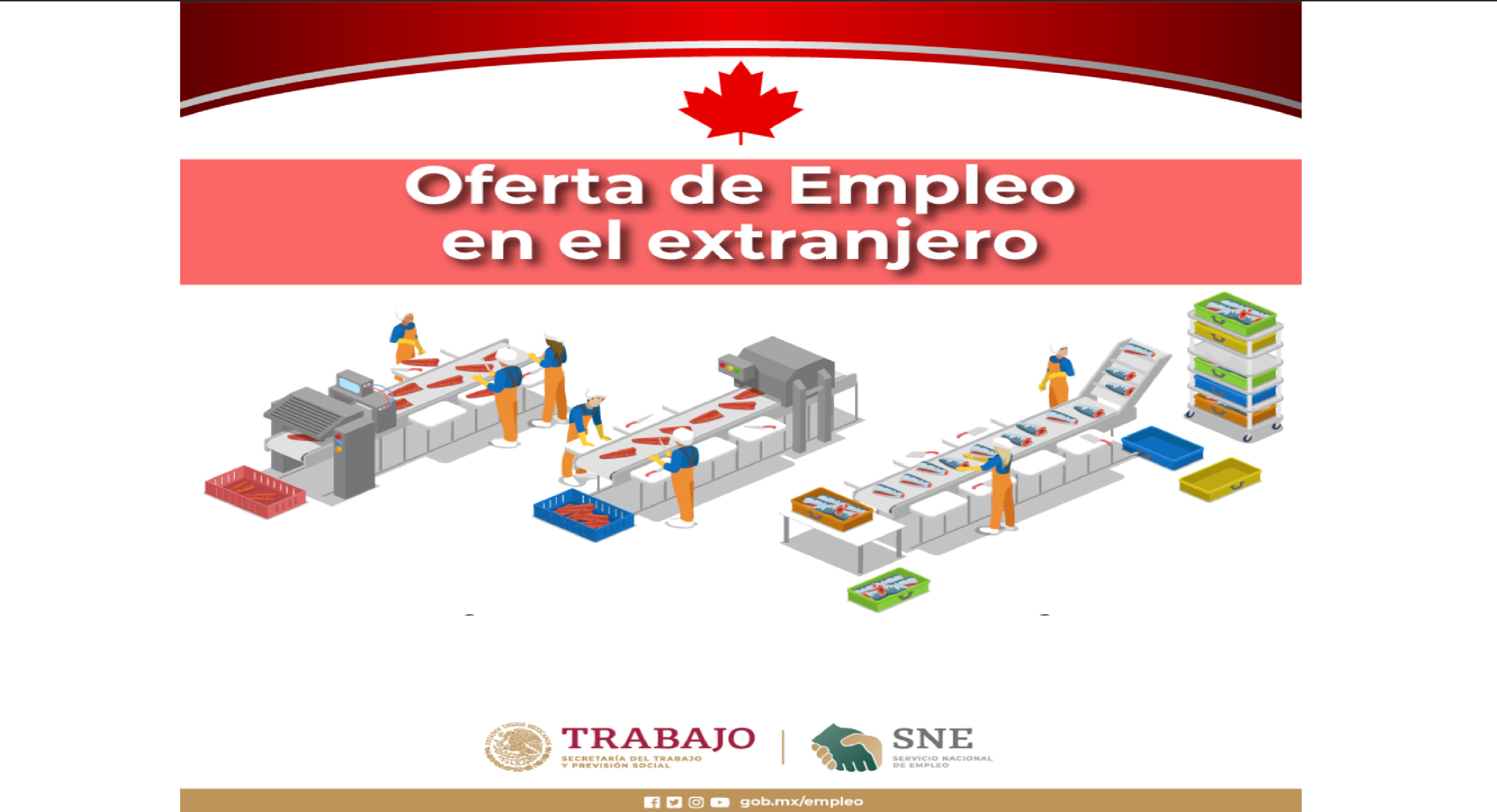 Canadá ofrece empleo a mexicanos para ganar $33,600.00 pesos mensuales