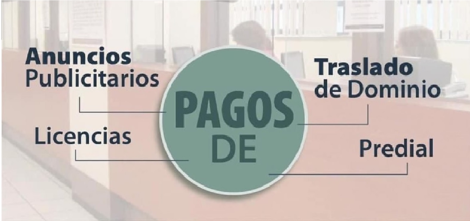 bonificacion-fiscal-en-toluca