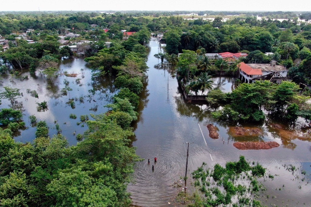 captan-cocodrilo-nadando-en-calles-de-tabasco