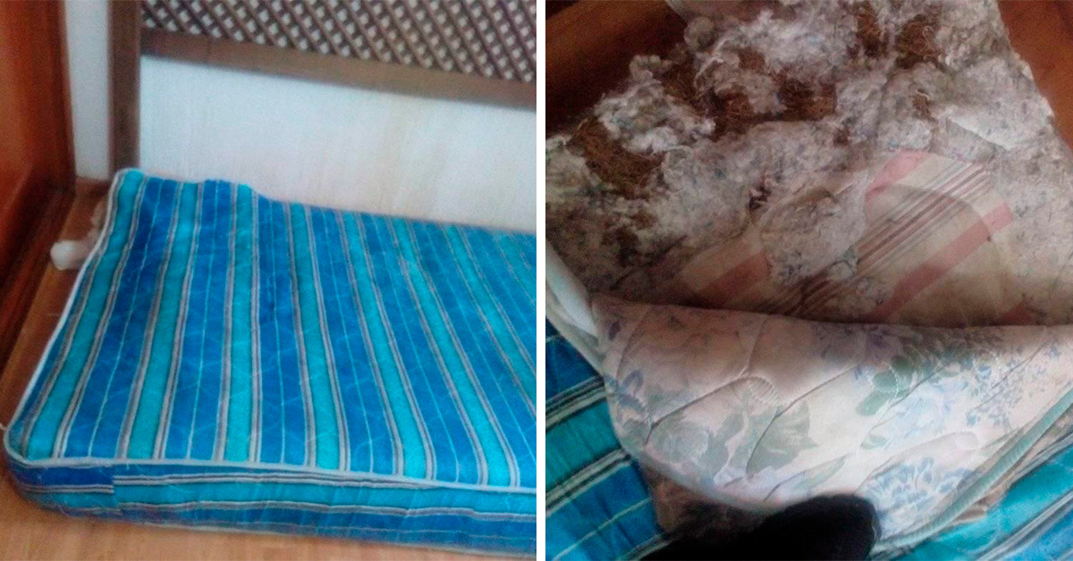 toluca-denuncian-tiendas-de-colchones-por-estafa1