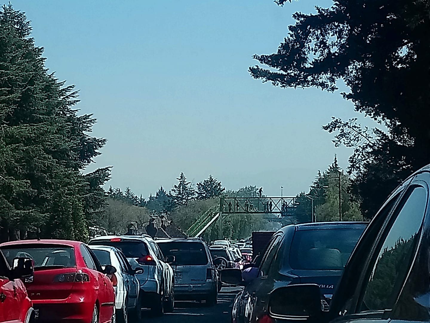 toluca-se-registra-trafico-en-tollocan-por-intento-de-suicido