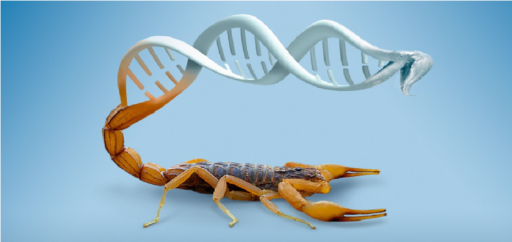 veneno-alacran-ayuda-a-inhibir-cancer-UNAM