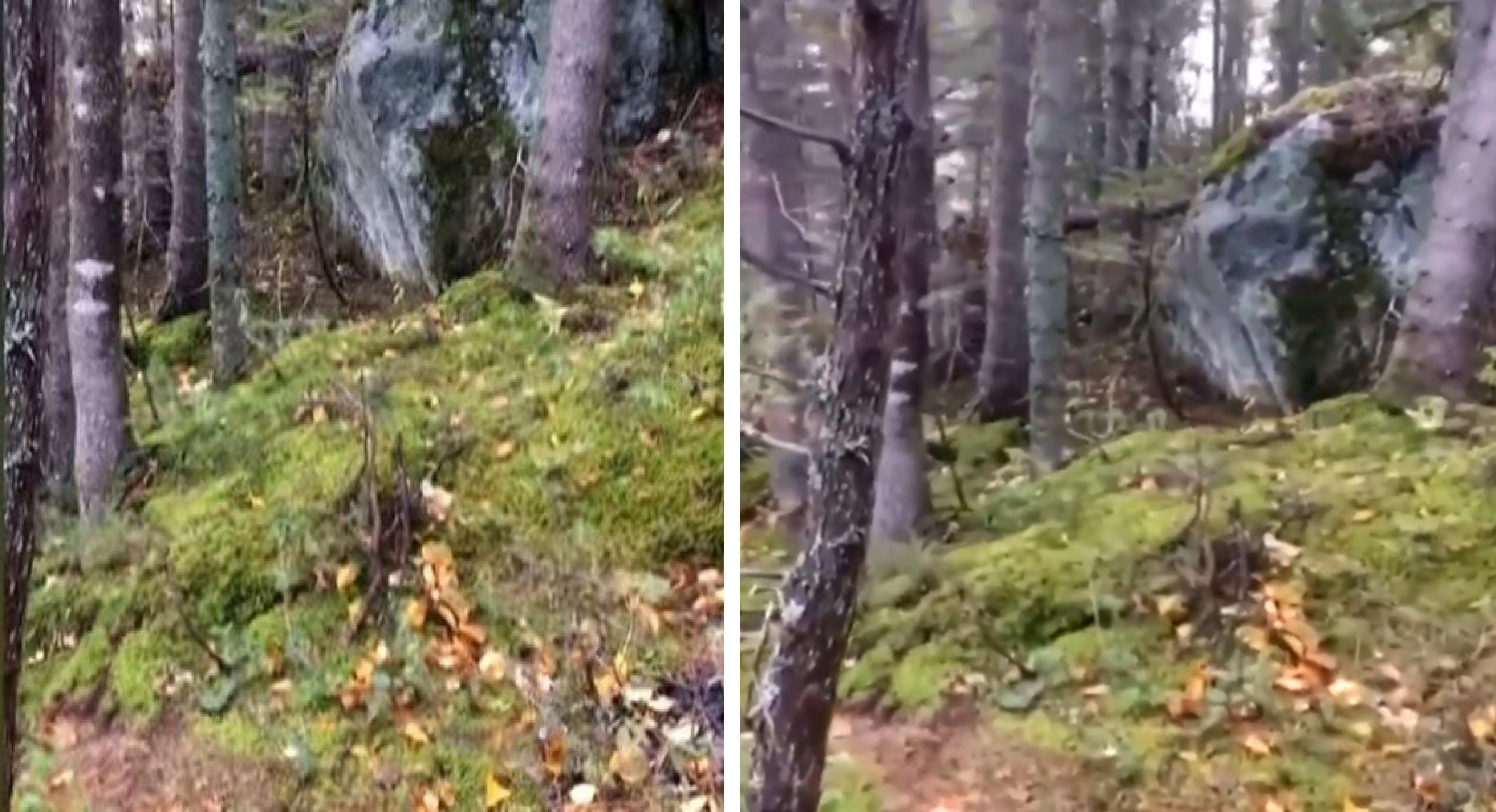 Captan movimiento inexplicable del piso Respirando2