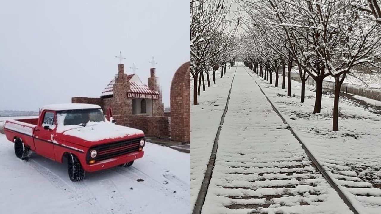 chihuahua-se-pinta-de-blanco-por-caida-de-nieve