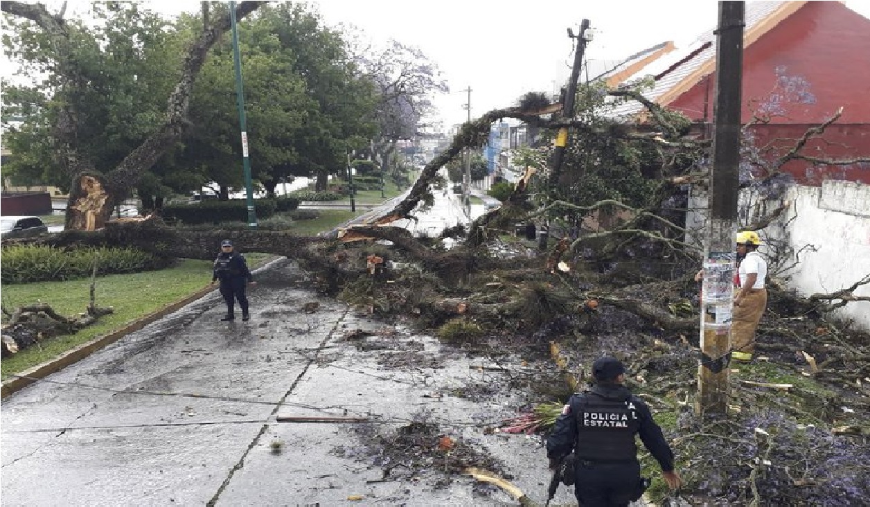 fuertes-vientos-asi-se-despide-el-2020