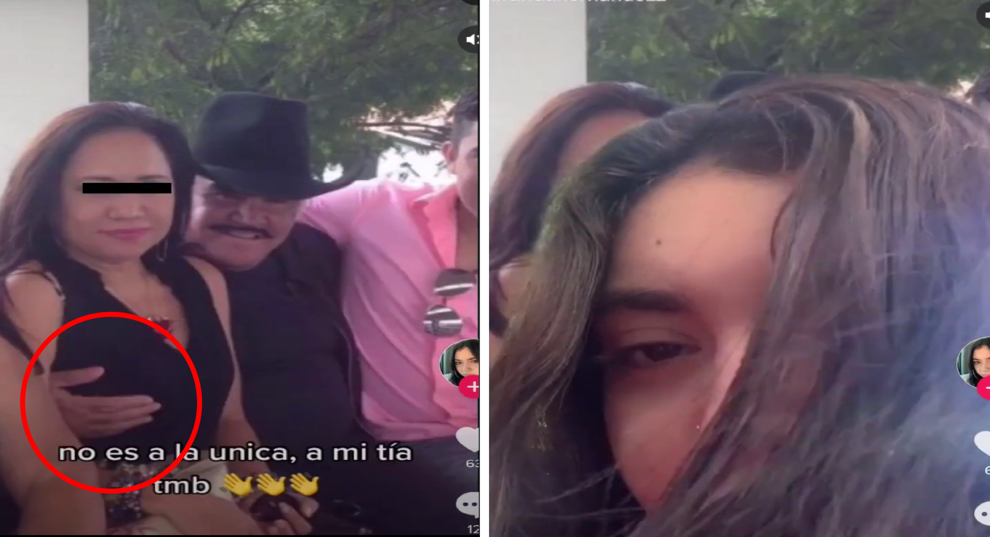 Vicente Fernández Exhiben otro toqueteo del artista2