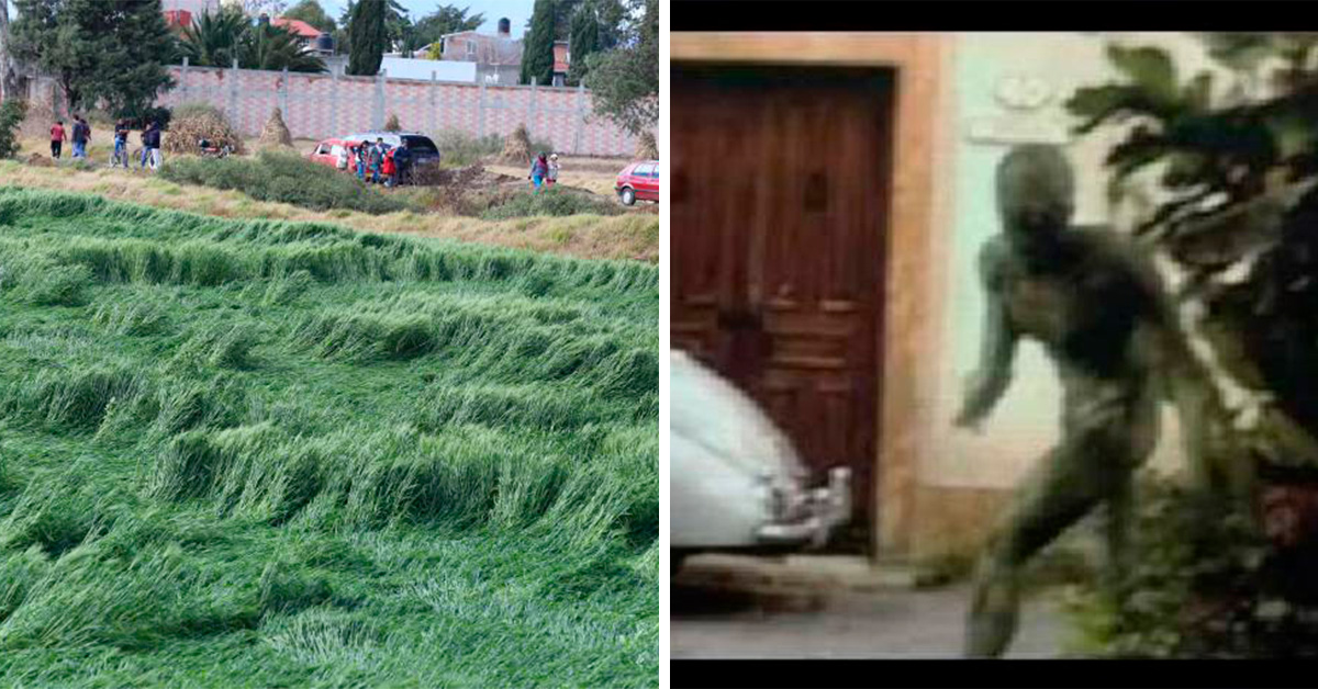 edomex-aparecen-senales-de-extraterrestres-en-texcoco-2-160494