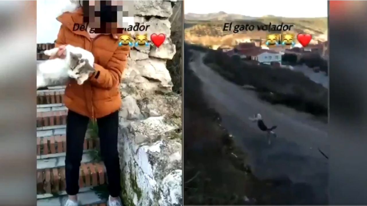 joven-avienta-gato-al-barranco-para-ganar-seguidores