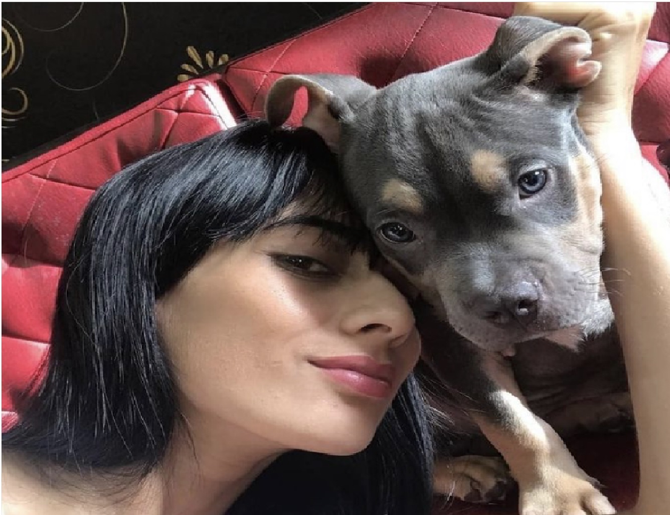 perrito-muere-en-avion-con-equipaje