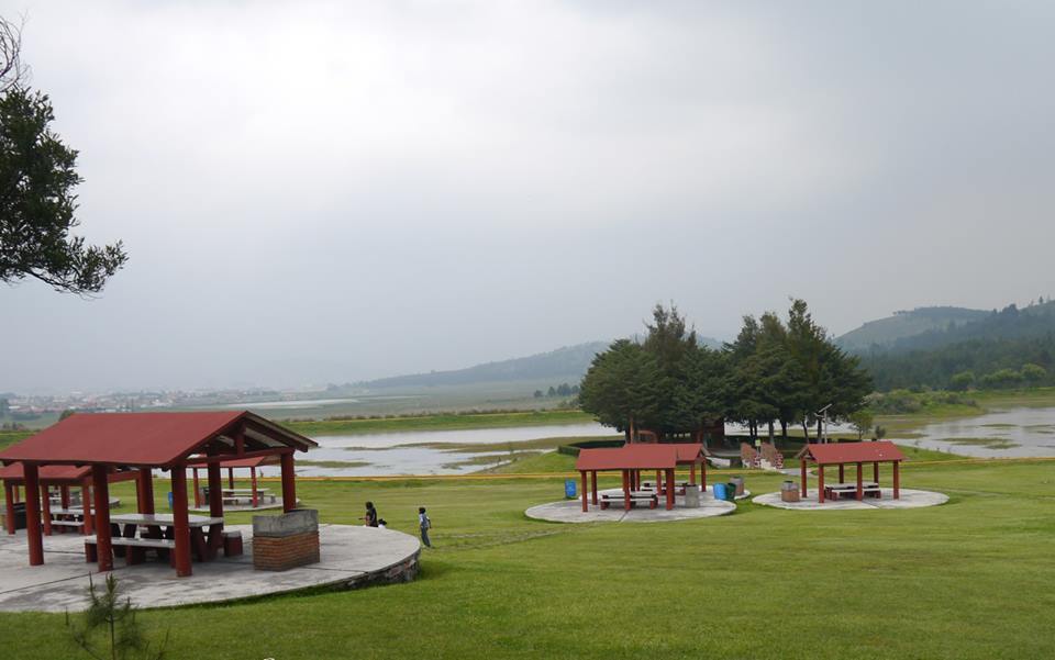 toluca-reabriran-parques-y-zoologicos-con-restricciones-160494