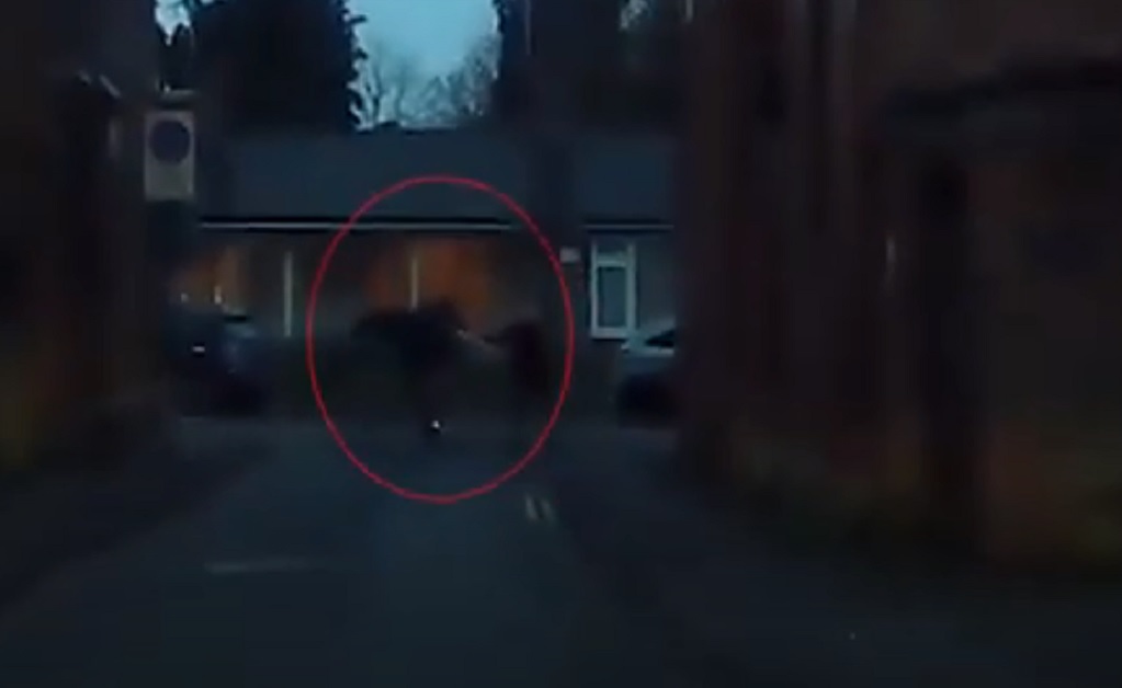 Ladrón es golpeado con unas muletas por una mujer de 77 años || VIDEO