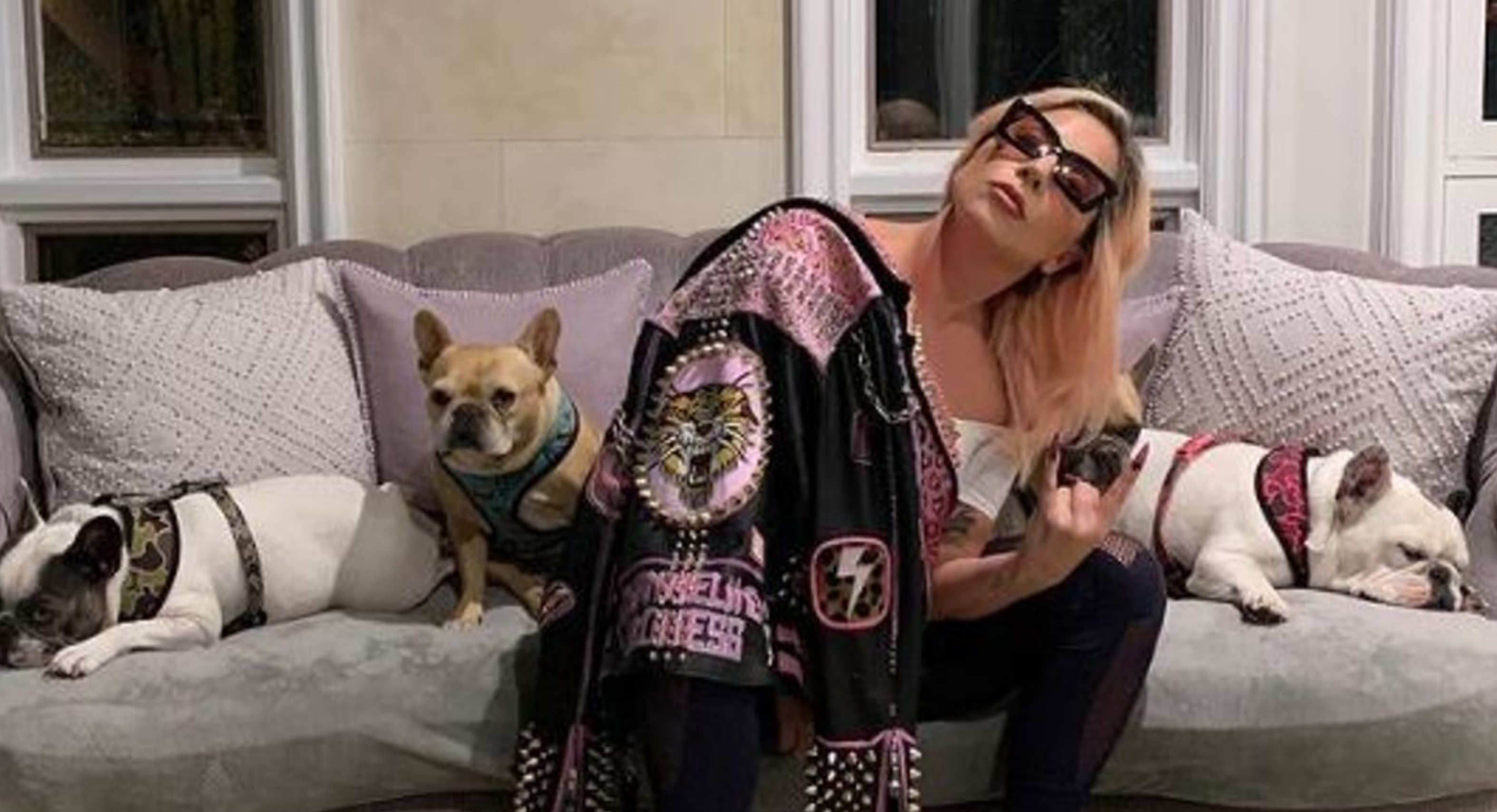 Video del ataque al paseador de perros de Lady Gaga