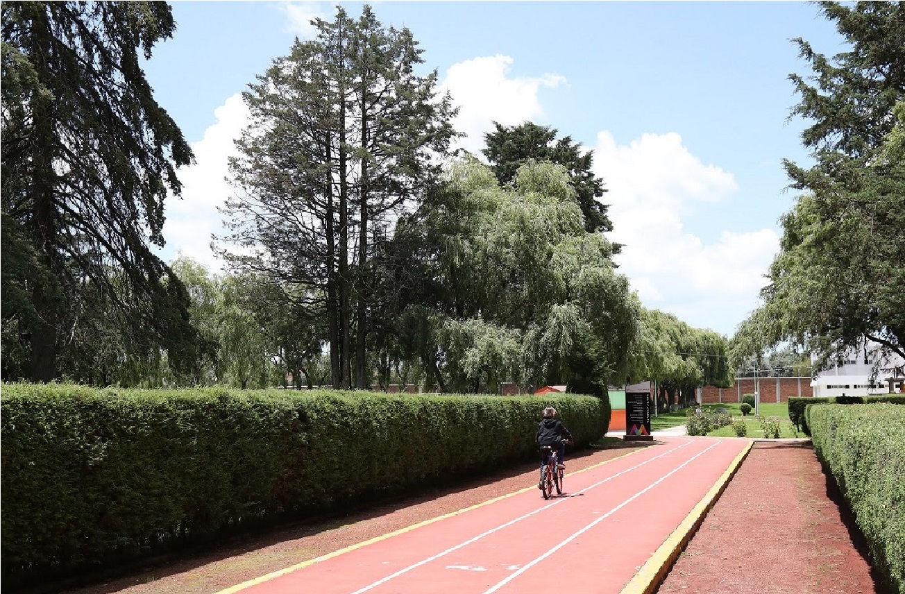 Conoce los horarios y actividades en Toluca durante Semana Santa