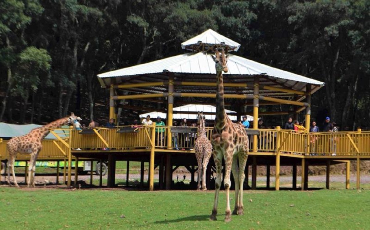 Visita Chapa de Mota un ejemplo de la riqueza natural mexiquense