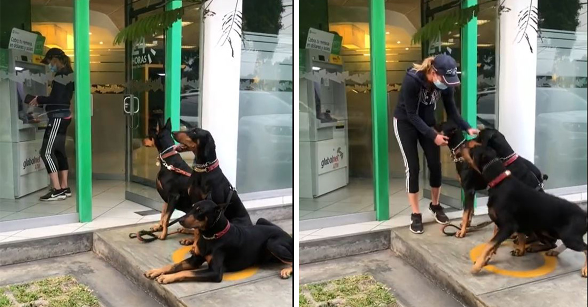 mujer-va-al-banco-con-sus-perros-y-se-vuelve-viral-video-2-160494
