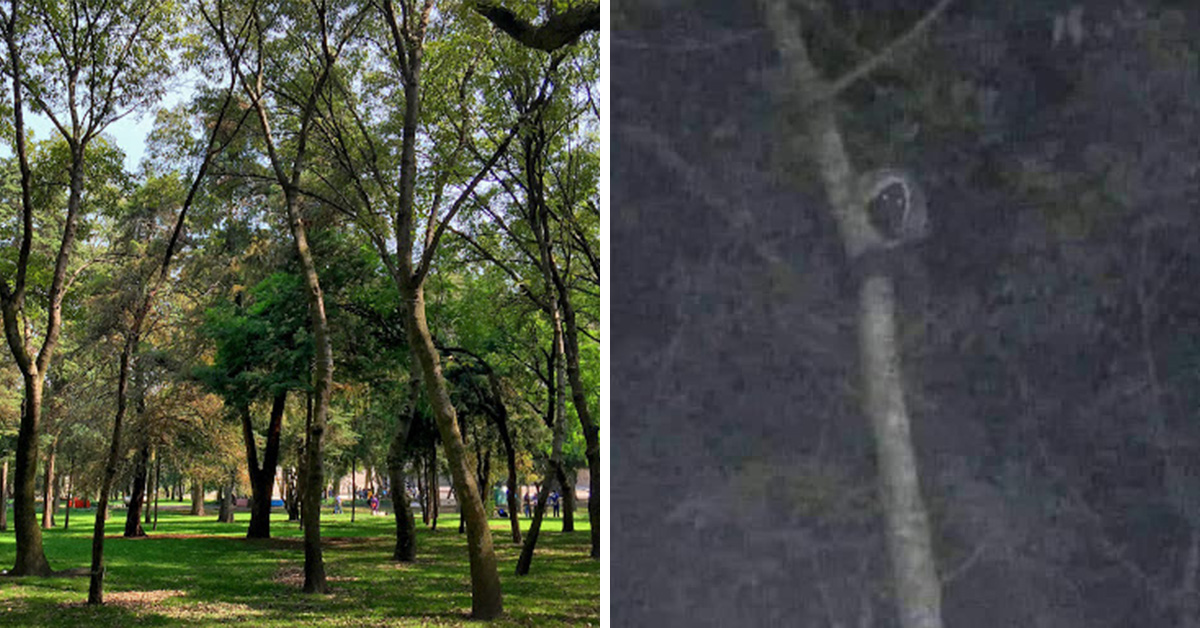 viral-fotografian-a-supuesta-bruja-y-casusa-furor-en-redes-sociales-sera-real-2-160494