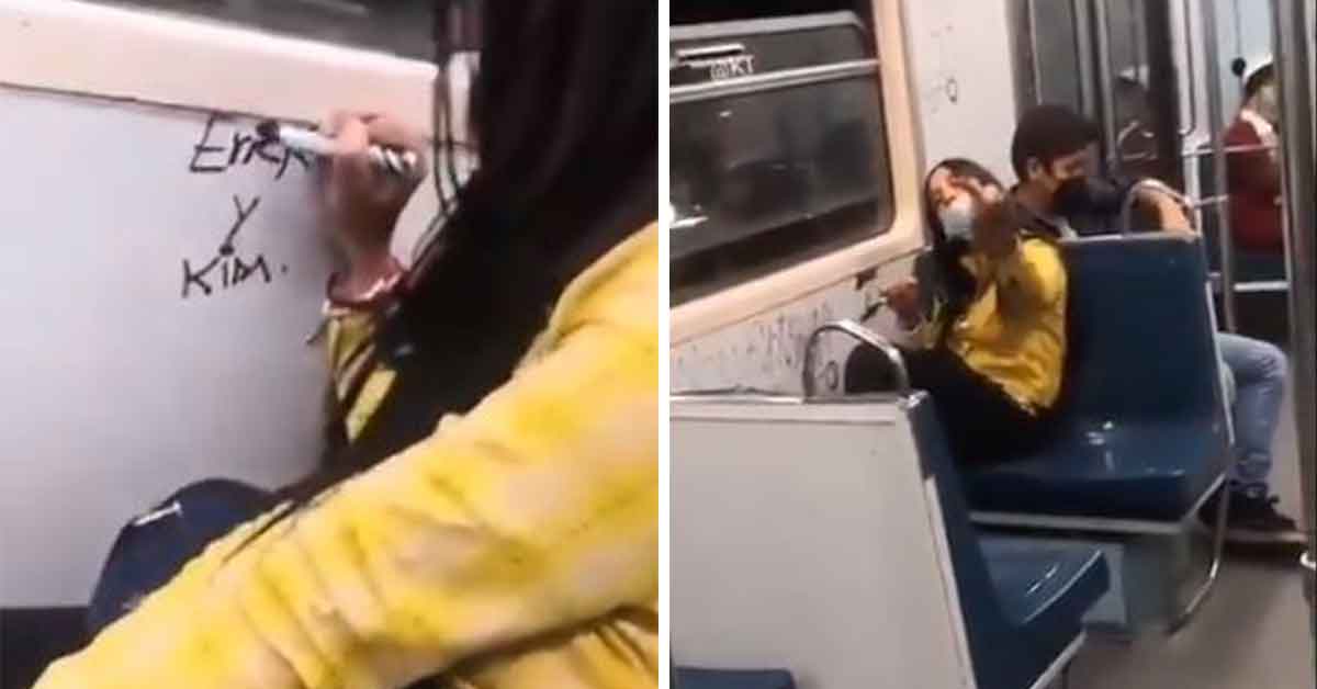 viral-mujer-escribe-nombres-en-vagon-del-metro-y-la-apodan-ladyrayones-3-160494