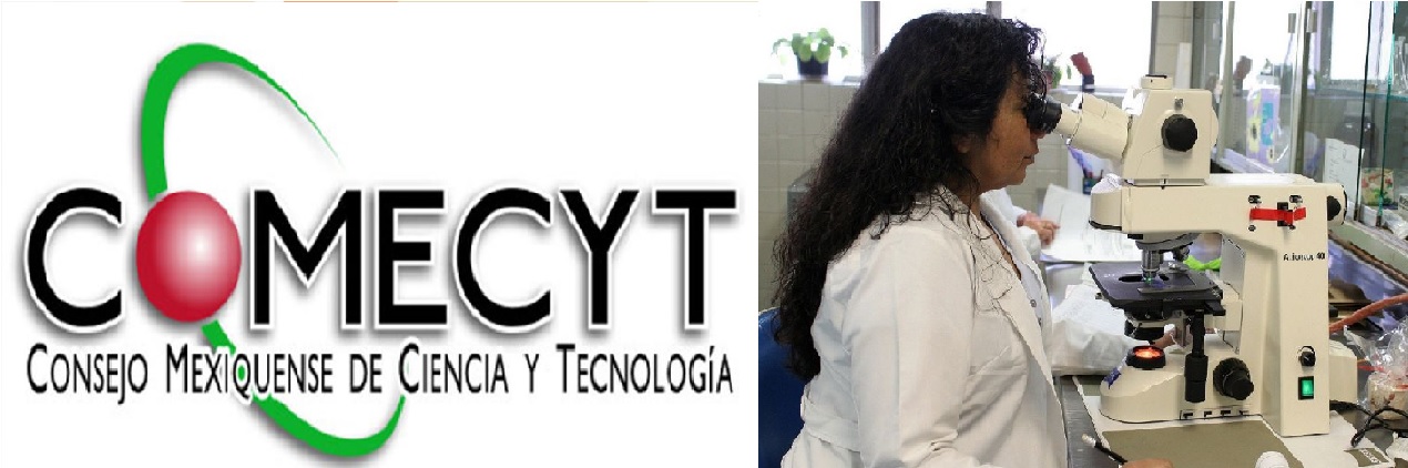 Esta beca Comecyt en particular es para aquellos profesionistas que hayan sido aceptados estudios de posgrados o de igual manera que se encuentren estudiando este grado académico específicamente en planes de Ciencias d la Salud. Comecyt Edomex 2021convocatoria para jóvenes emprendedores.