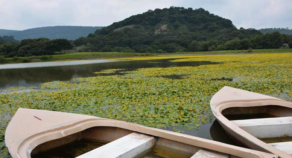 Visita parques y áreas naturales del EDOMEX en vacaciones Semana Santa en esta primavera 2021 clima en el Edomex