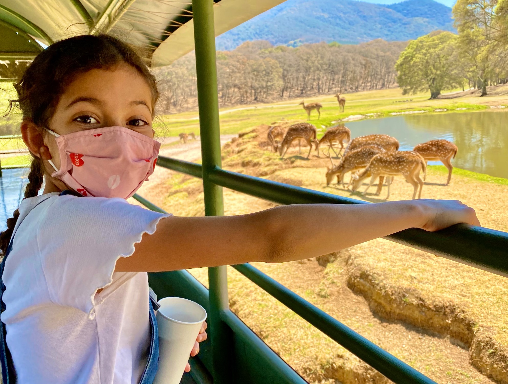 Bioparque Estrella invita a su rodada con causa y exhibición de motos