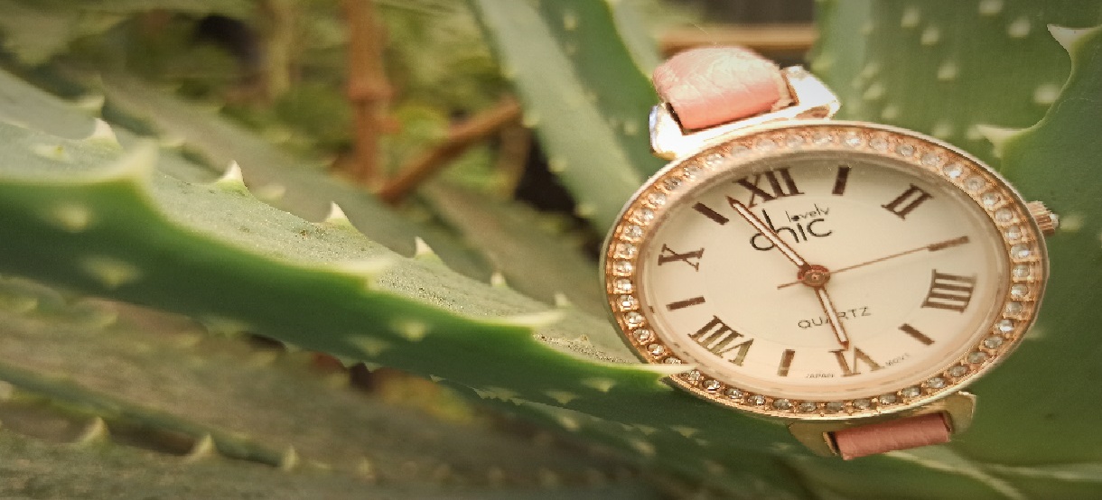 te decimos cuándo inicia el cambio de horario de verano 2021en México